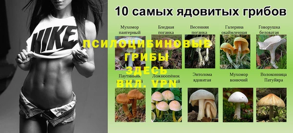 Альфа ПВП Кукмор